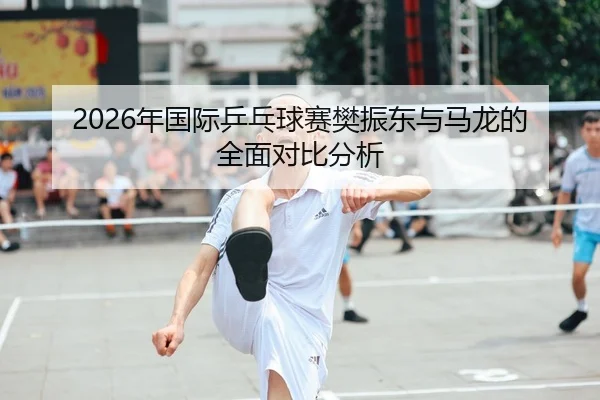 2026年国际乒乓球赛樊振东与马龙的全面对比分析